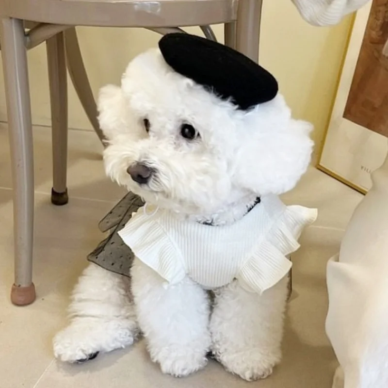 Vestido de luxo para cães pequenos com laço saia de princesa_voghion.com