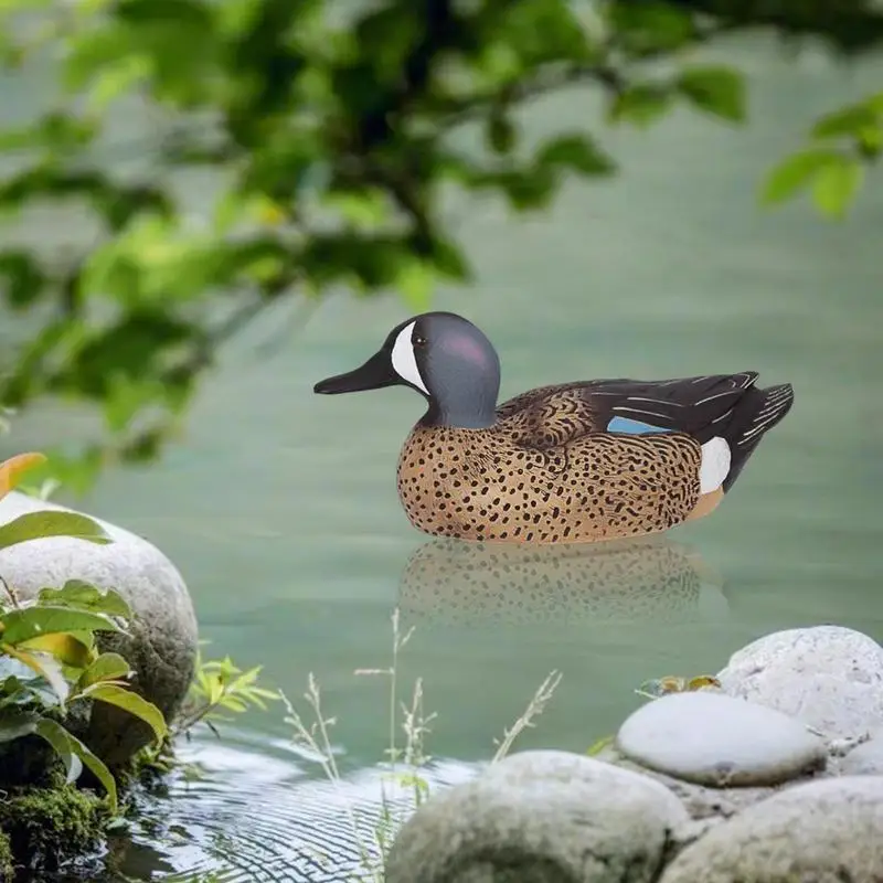 3D  ̳ ÷,  ÷  ,   ȣ ûտ ,   