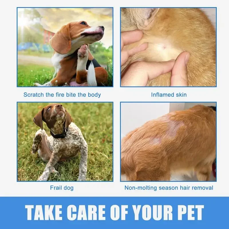 Pets Anti-Itch And Itch Relief Spray Skin Care Treat Products For Itchy And Sensitive Dogs Cat 30ml pet anti itch spray