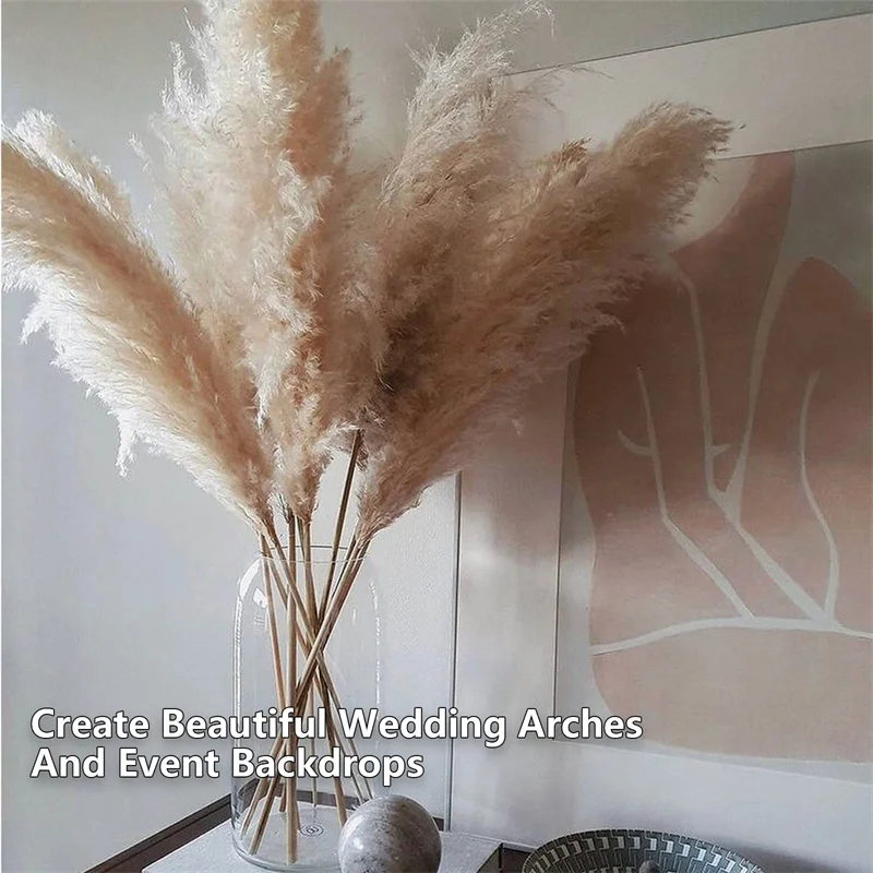 

15Pcs Large Pampas Grass Tall 80cm Dried Fluffy pompas Grass for Wedding Boho Home Decoration Party,Farmhouse Floral Arrangement