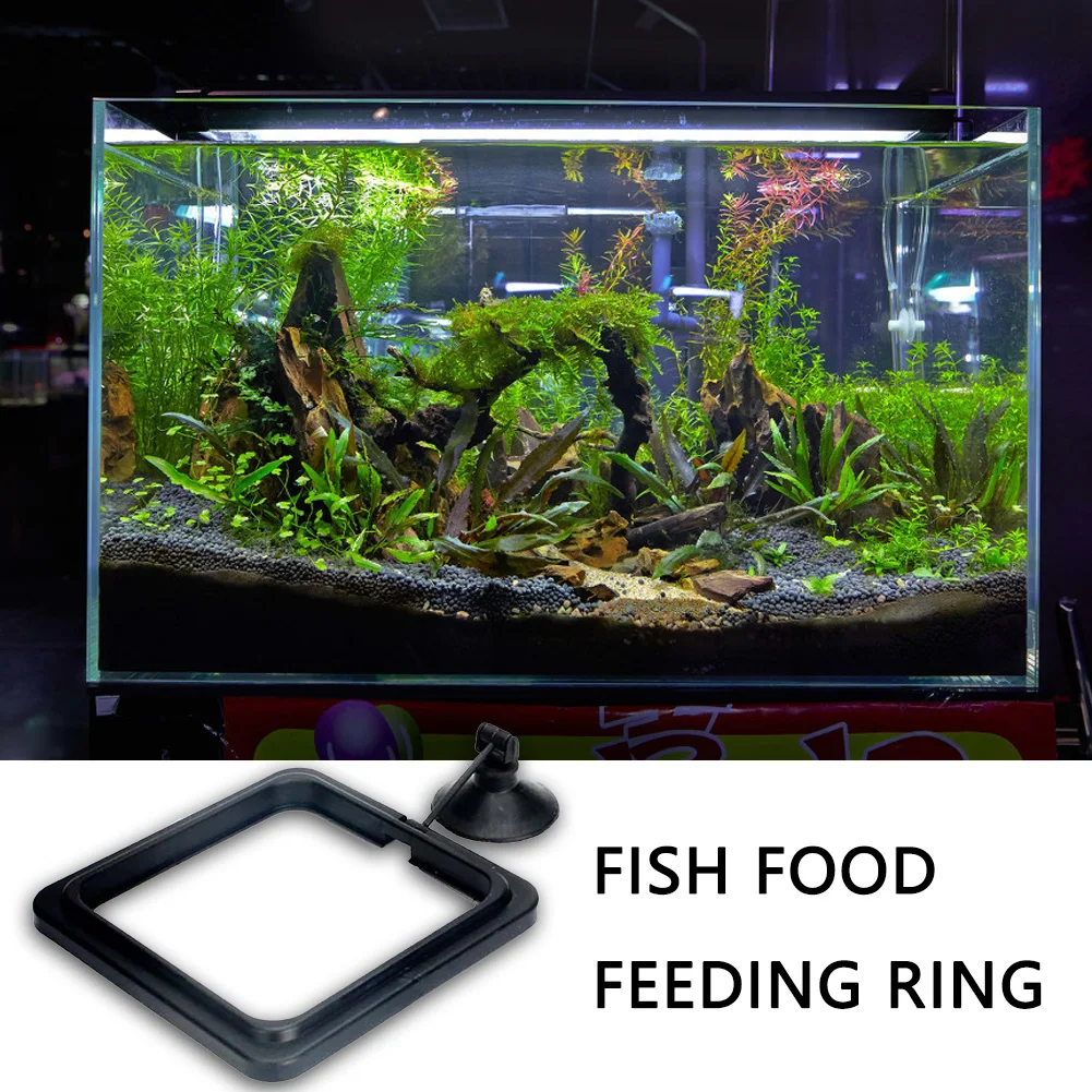 Anillo De Alimentación: Para Piensos Para Peces, Piensos Para Acuarios