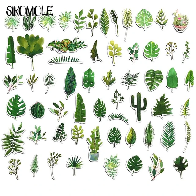 Sticker Plante Verte Variété de feuilles - TenStickers