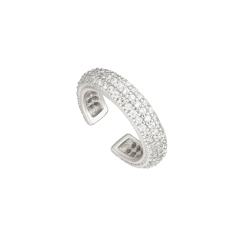 2-silver