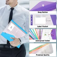 12pcs six-color file organizer, 11-hole plastic expanding folder for 2/3/4 ring binders with snap closures and blank labels. 4