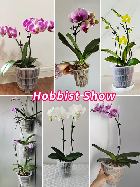 Meshpot Clear Plastic Orchid Pots with Holes and Saucers for Repotting Small Orchid Planters Root Control Orchid Transparent Pot 6