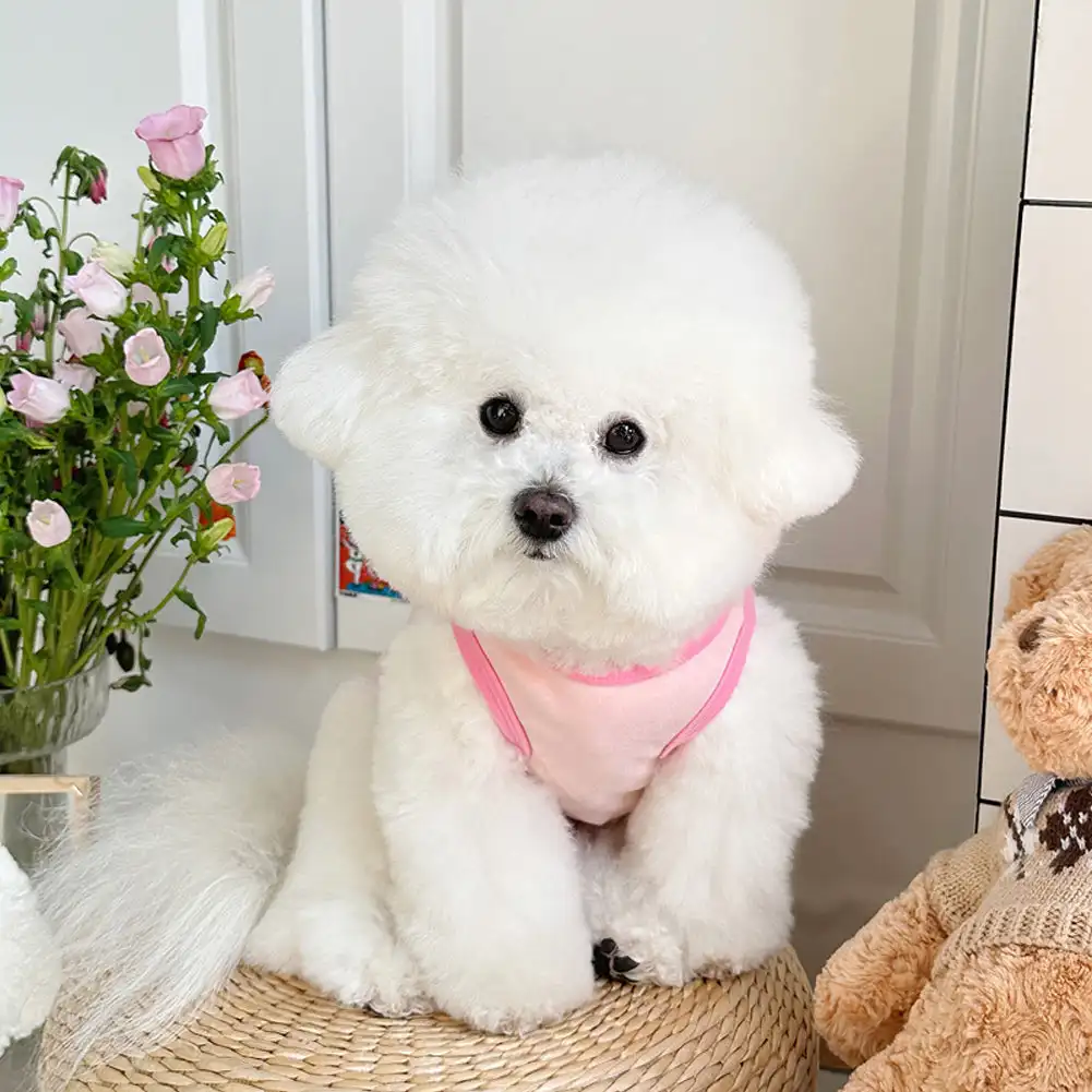 1.5-9kg Pet Cloth French Bulldog Teddy Pajamas Warm Cotton Winter Cat Coat Pet Clothes for Cats Small and Medium Dogs