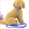 Pet Dog Leash Dog Harness Collar Lead  Rope Quality Nylon Adjustable Training Lead Pet Dog Leash Dog Strap Rope Traction 6