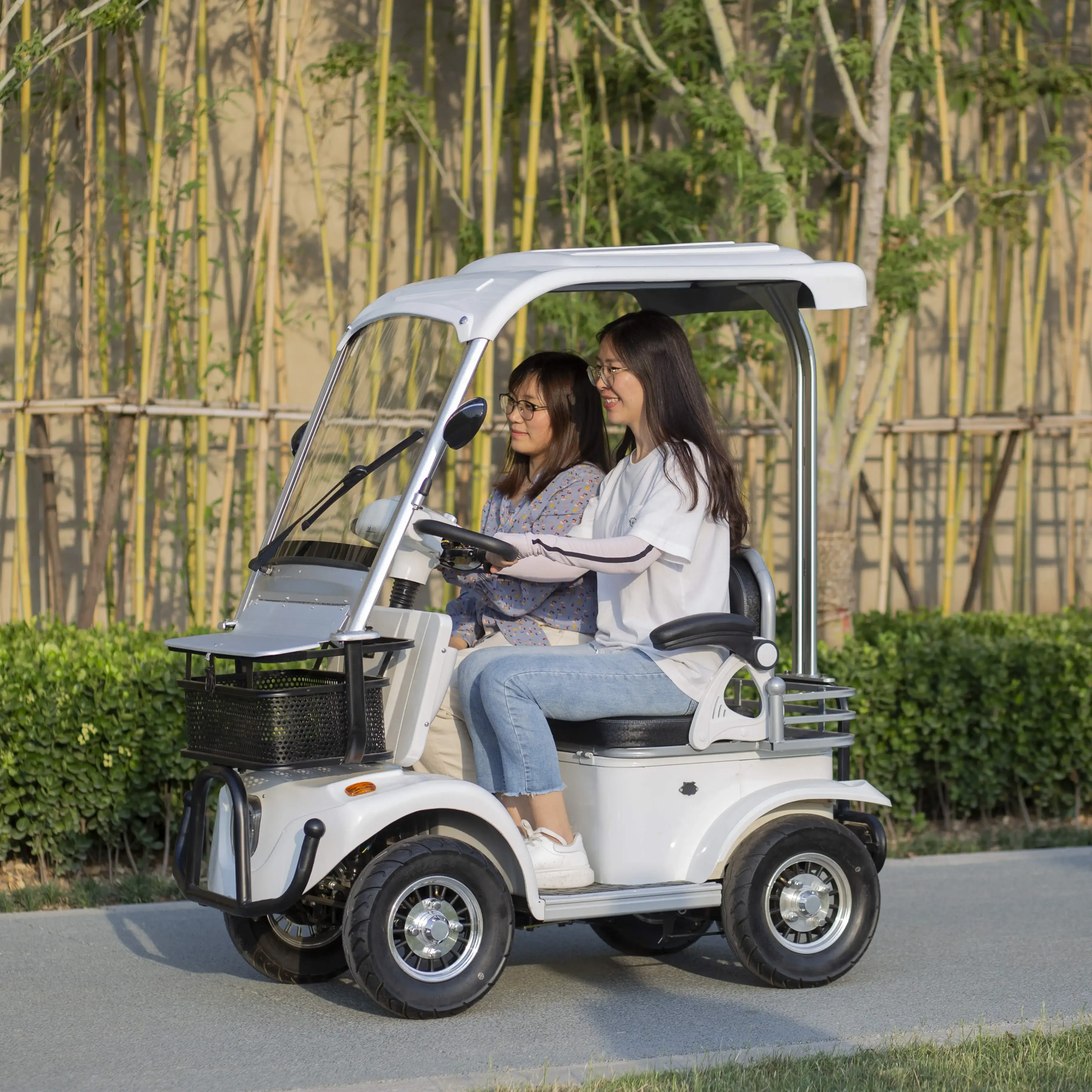 Popular Electric 4 Wheels Electric Elderly Scooter Disc Brake Mobility Scooter