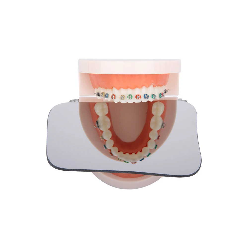 GISTAR 5 Teile/satz Dental Kieferorthopädische Spiegel Fotografie Doppelseitige Spiegel Oral Intra Werkzeuge Glas Material Zahnmedizin Reflektor – Detail 5