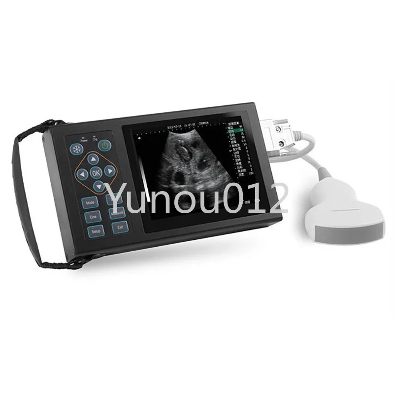 

Portable Veterinary Ultrasound Machine Mechanical Fan Scan Ultrasound Diagnostic Instrument, High Configuration Version ne