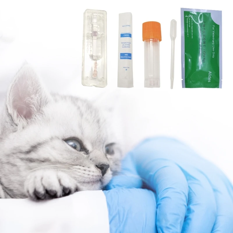 Canine Distemper/Adeno Test for Dogs Cats Easy and Effective Test Pet CPV CDV FPV CCV Toxo Set of 20 Dog Virus Detection Card Feline Virus Test Kits