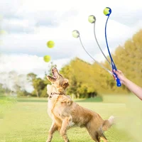 Pet Tennis Ball Launcher Stick - Interactive Outdoor Dog Training Toy, Durable Ball Thrower for Canine Exercise and Play Trainin 1