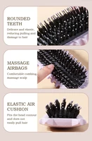 WANMEI Salon de coiffure brosse de coiffure bouclée brosse à cheveux pour peigner et façonner les boucles réduire les outils de traction 4