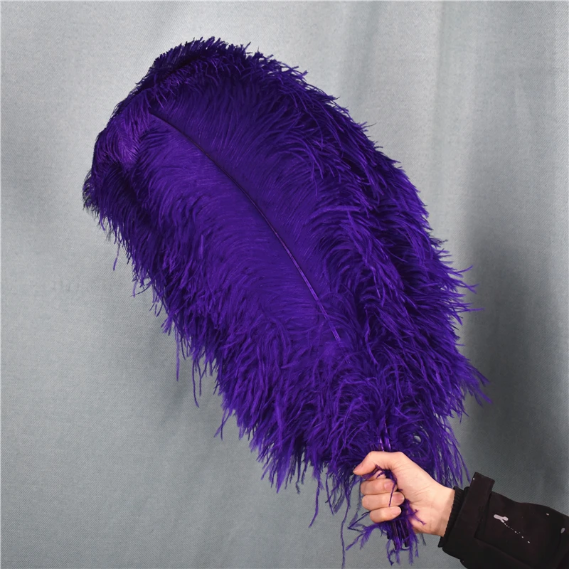 Ostrich Feathers - 16-18 Tail Feathers - Purple