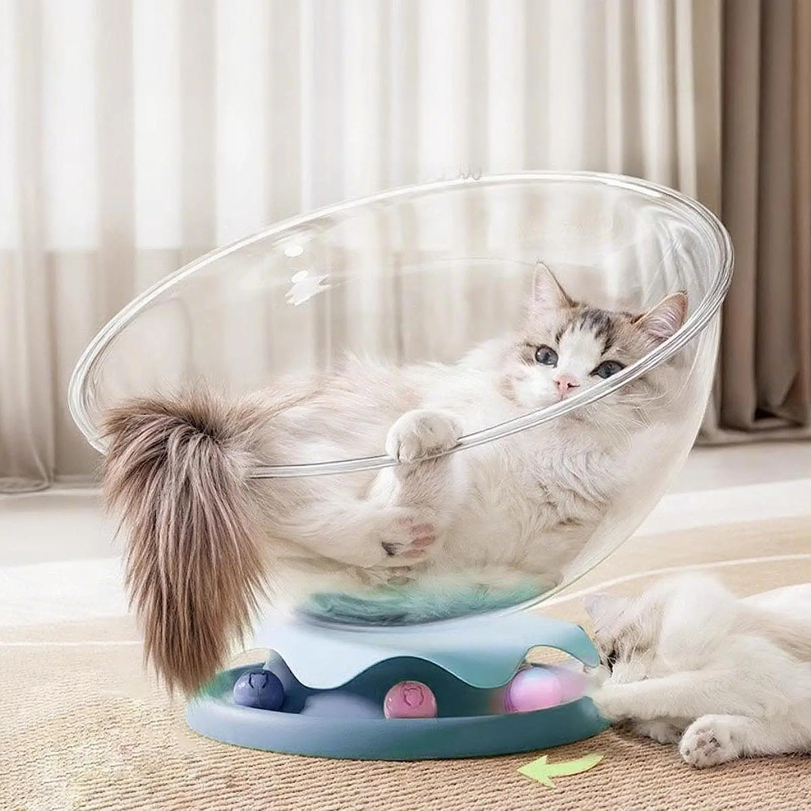Space Capsule Cat Bed Activity Center Breathable Universal Transparent Stable Pet Supplies Hammock for Indoor Cats Kitten