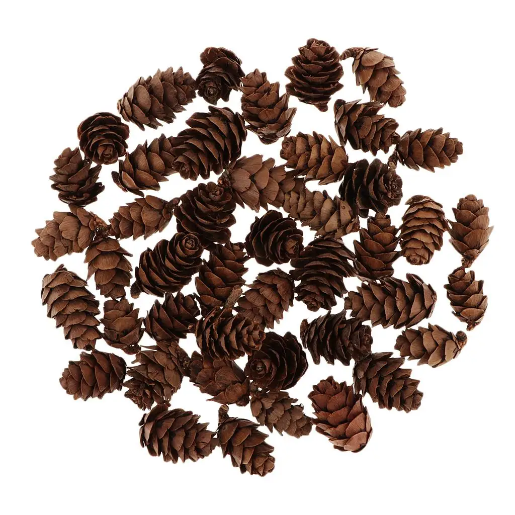 60 קונוסים טבעיים בעבודת פרחים לקישוטי שולחן בבית