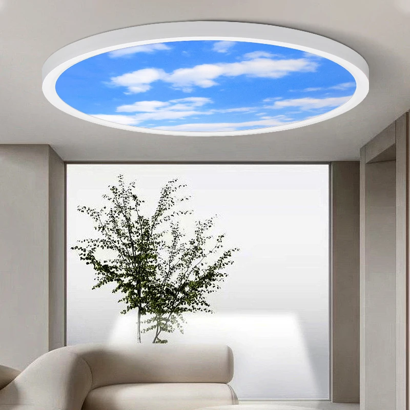 BlueSkyLEDCeilingLampsModernCeilLight42W24WLedCeilingLights