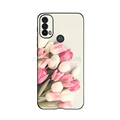 Picture-C24