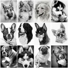

AMTMBS Black And White Cute Dogs DIY Painting By Numbers Adults For Drawing On Canvas Oil Pictures By Numbers Wall Art Decor