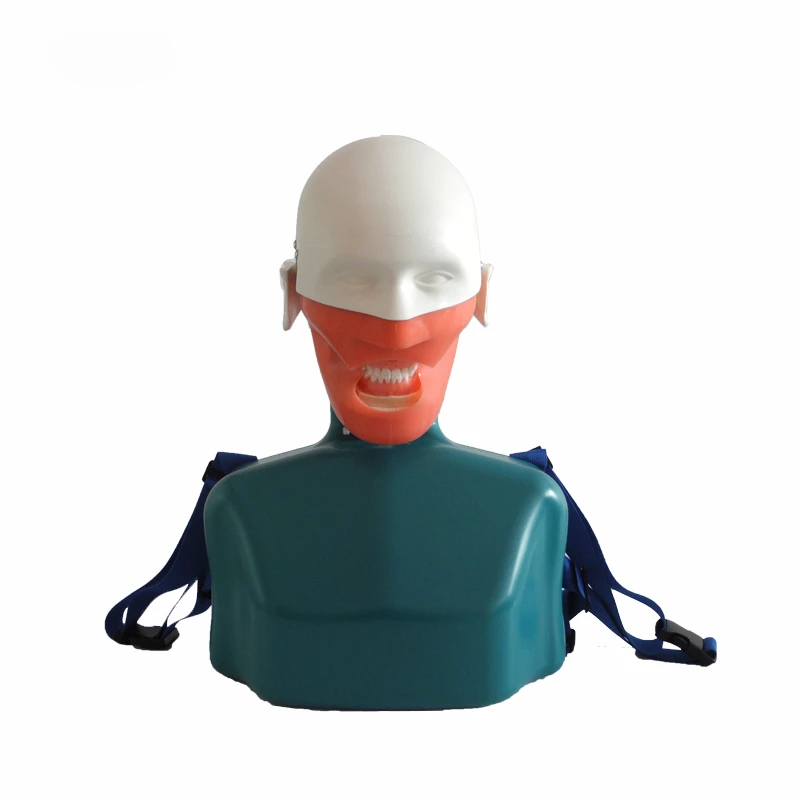 

Quality Den-tal Phantom Head Manikin