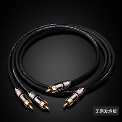 Premium HiFi RCA Stereo Audio Cable - High - Quality 6N OFC Construction - 4 m (I to I(without net))