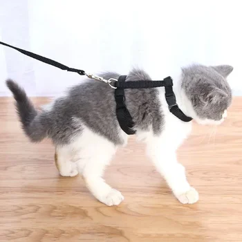Juego de arnés y correa para gatos, Collar de correa para gatitos, ligero y ajustable, a prueba de Escape, para caminar, viajar, animales pequeños, cachorros 1