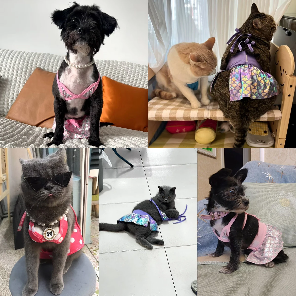 Cute Dog Cat Summer Bikini Funny Swimsuits Pet Dog Dress Kitten Skirts for Small Dogs Puppy Cat Clothes Chihuahua Sphinx Clothes
