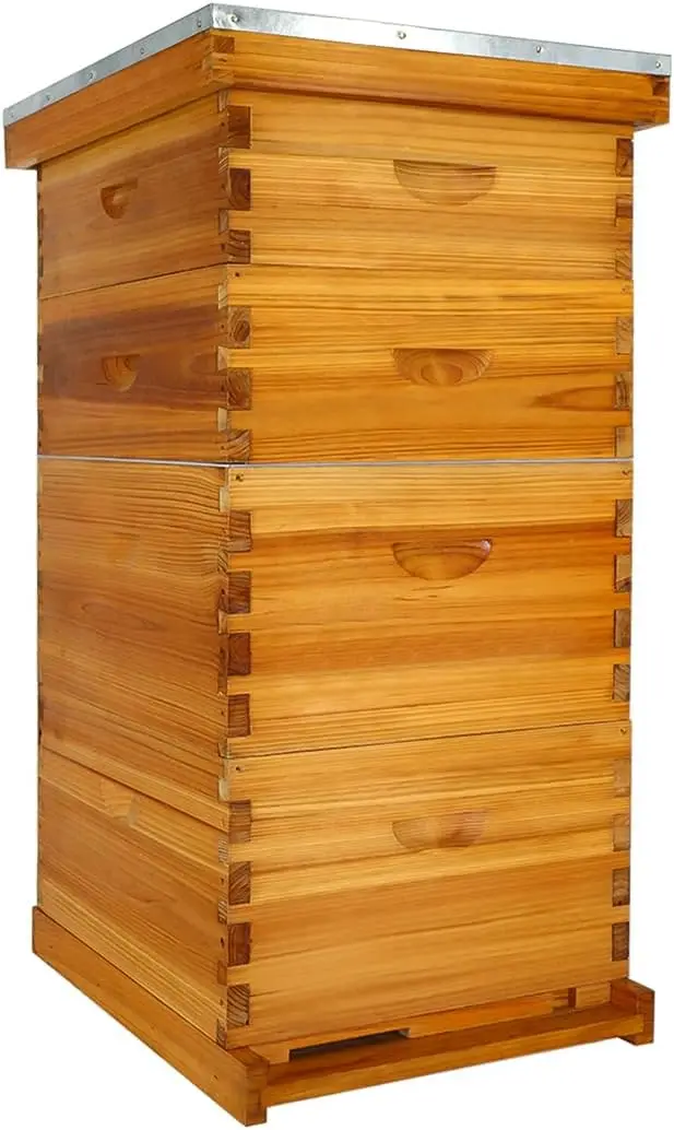 Langstroth Complete Beehives Starter Kit Includes 2 Deep Brood Box and 2 Medium Super Box 6