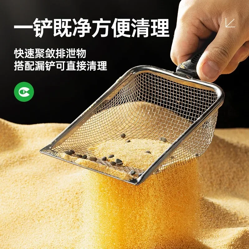 Climbing Pet Calcium Sand To Raise Desert Supplies for Landscaping