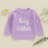 Toddler Baby Girl Boy Knitted Sweater Big Sister Pullover Sweatshirt Chunky Sweaters Sister Matching Outfit 3