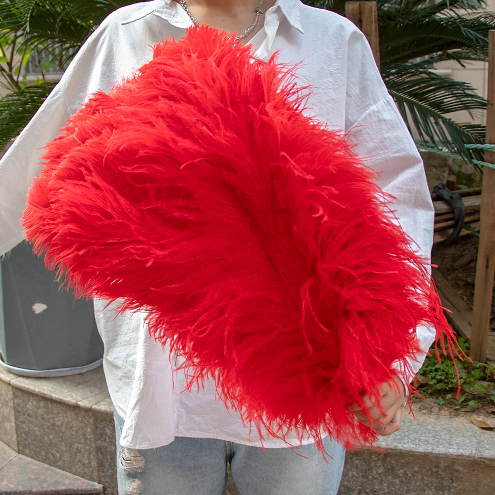 15 Red Feather Plume