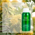 Osmanthus