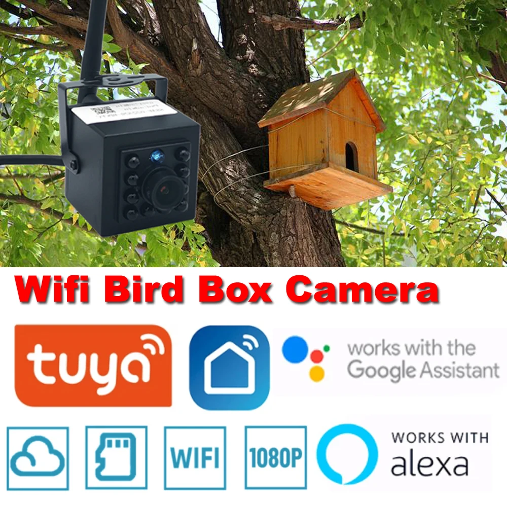 Mini caméra intelligente Tuya Bird Box, vision nocturne CCTV, moniteur de  sécurité de vidéosurveillance, webcam, WiFi, 1080P, 2MP, IPC, P2P, Alexa,  Google - AliExpress