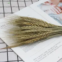 No Water Need Artificial Flower Decor No Withering Decorative Practical Pampas Oat Grass Dried Flower Decor