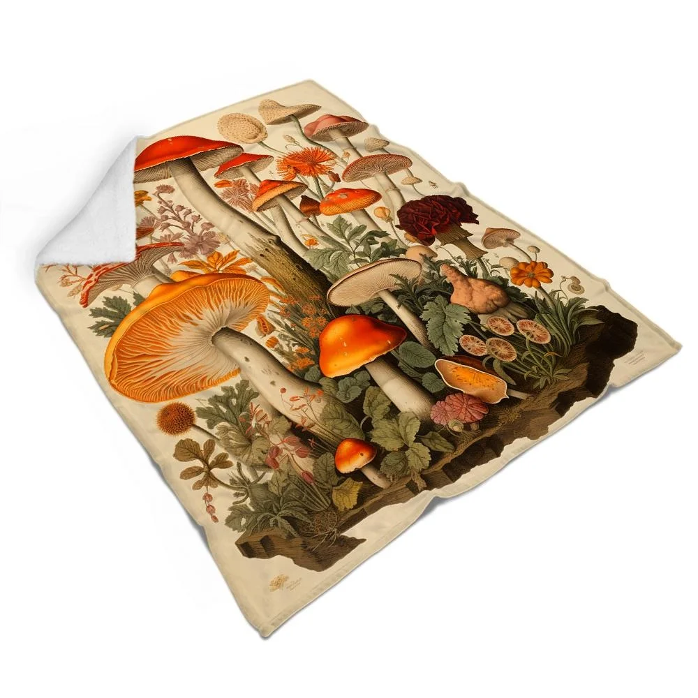 �ε巯�� ������ ���� ���, ������ ���, ���� ħ��� ������ �ƴ��� �ܿ� ħ��