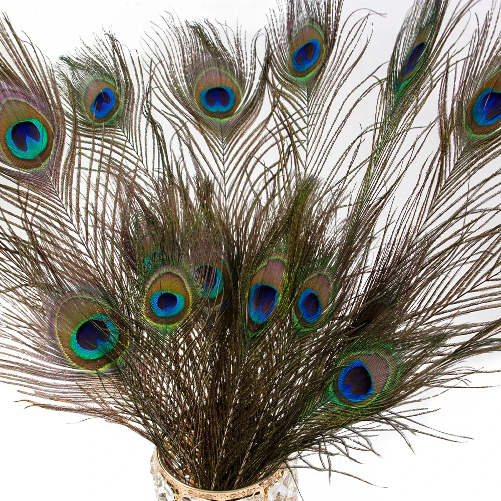 20 pcs Real Natural Peacock Feathers Bulk Set 3 Styles Peacock