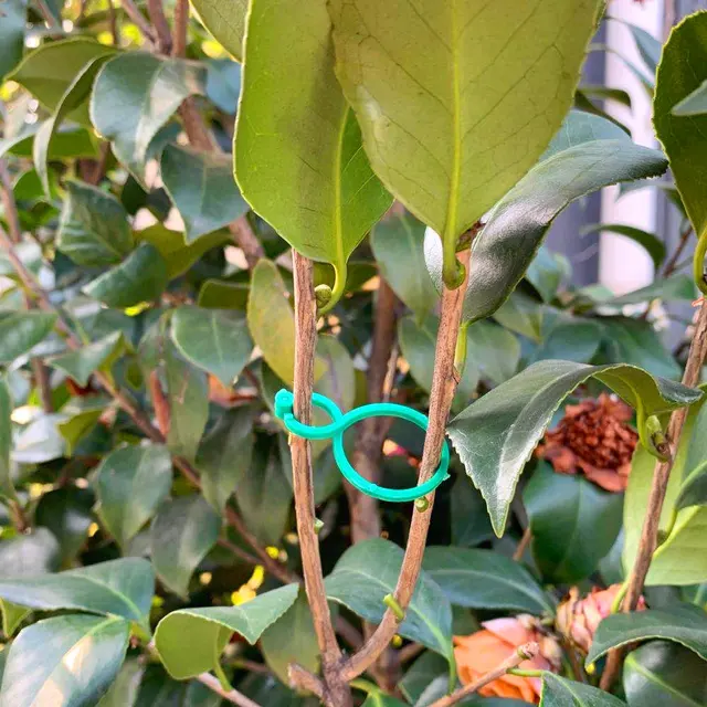 Kerti Növényi Javító Klipek Szőlőszíni Bilincs Üvegházhatású Gyümölcs Zöldségek Virágtartótámogatás Újrafelhasználható - Image 5