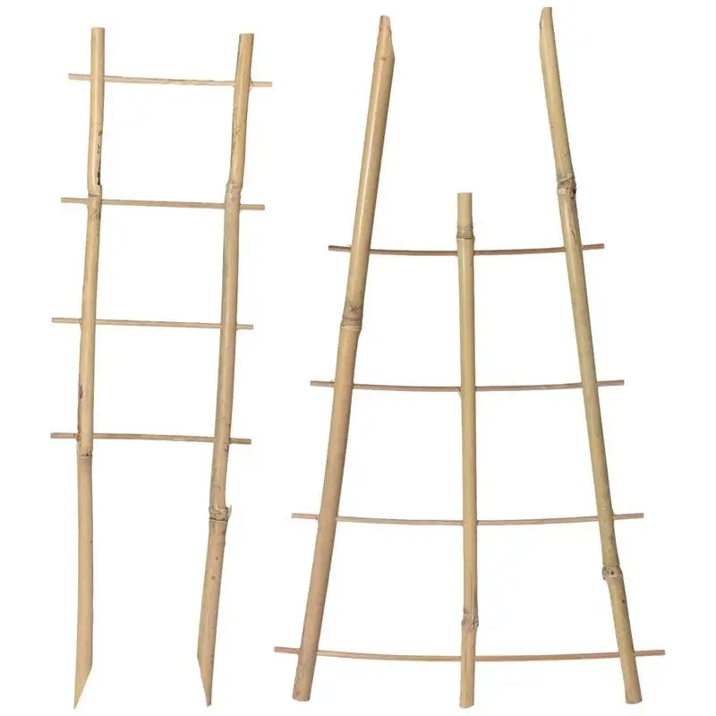 

Bamboo Trellis for Indoor Mini Potted Fan Shaped Plant Support Monstera Ladder Stakes for Climbing Plants With Twist Ties