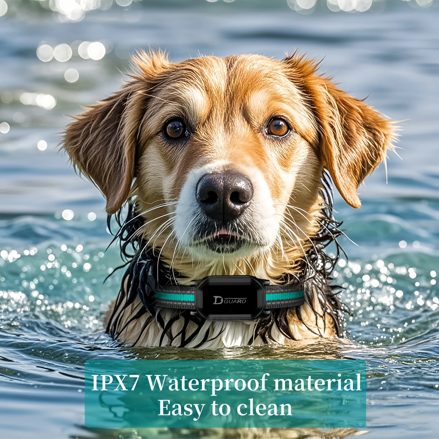 Waterproof Anti Barking Dog Collar Rechargeable Training Device_voghion.com