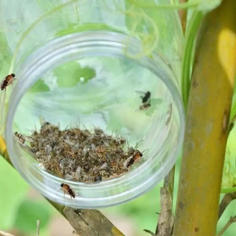 Fly Trap Reusable Wasp Hanging Fly Trap Catcher Beekeeping Catcher