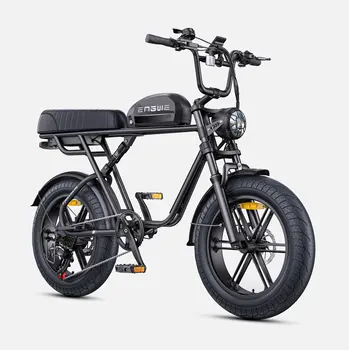 ENGWE M1 Bici Elettrica 250W: Doppia Batteria 48V 15.6Ah/28.6Ah, Doppia Sospensione, Pneumatici Fat da 20 Pollici, Per Tutti i Terreni e Città/Montagna