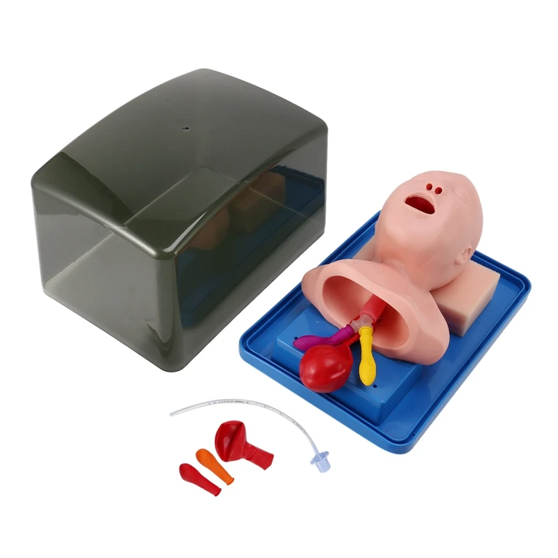 

Neonatal Tracheal Intubation Model Analog Double Lung And Stomach Expansion Child Tracheal Intubation Training Model