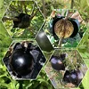 Garden Orchard Plants Grafting Rooting Box Reusable Cutting Garden Rooting Clone Propagation Ball Breeding Equipment for Sapling 2