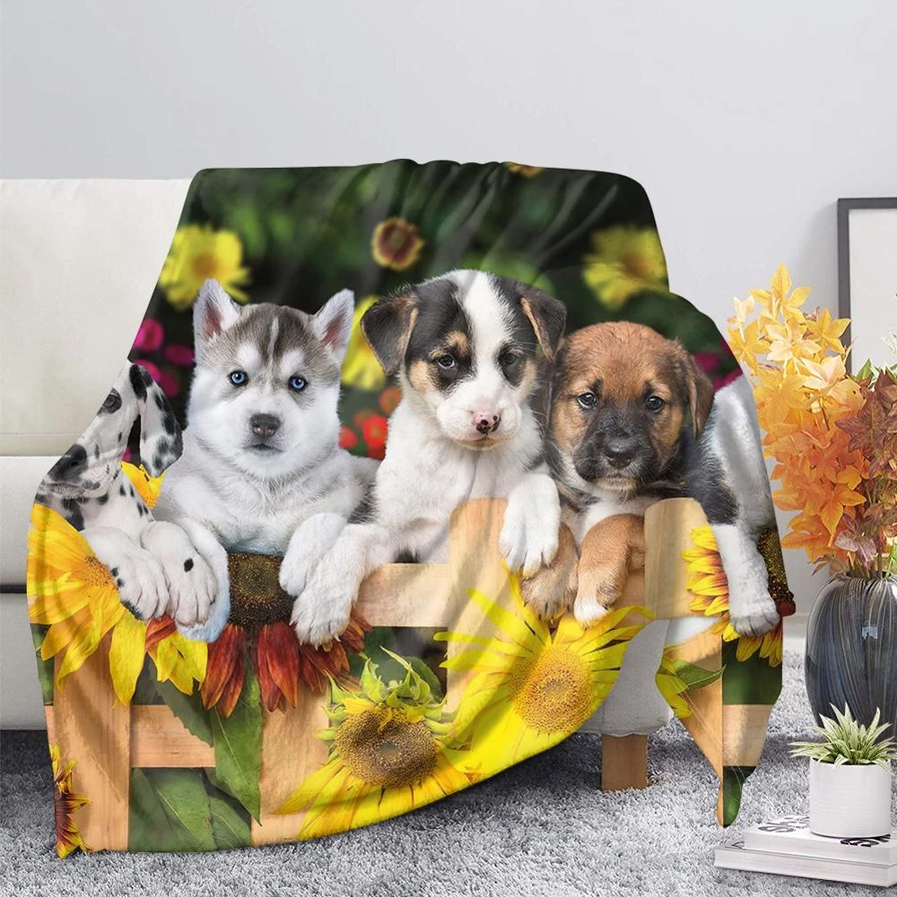 ���� ����Ʈ �ö��� ħ�� ���� ���, 10 �� ���� �� ���ƿ� ����, ���� ���, �û��� ������ ��, ŷ, �� ������