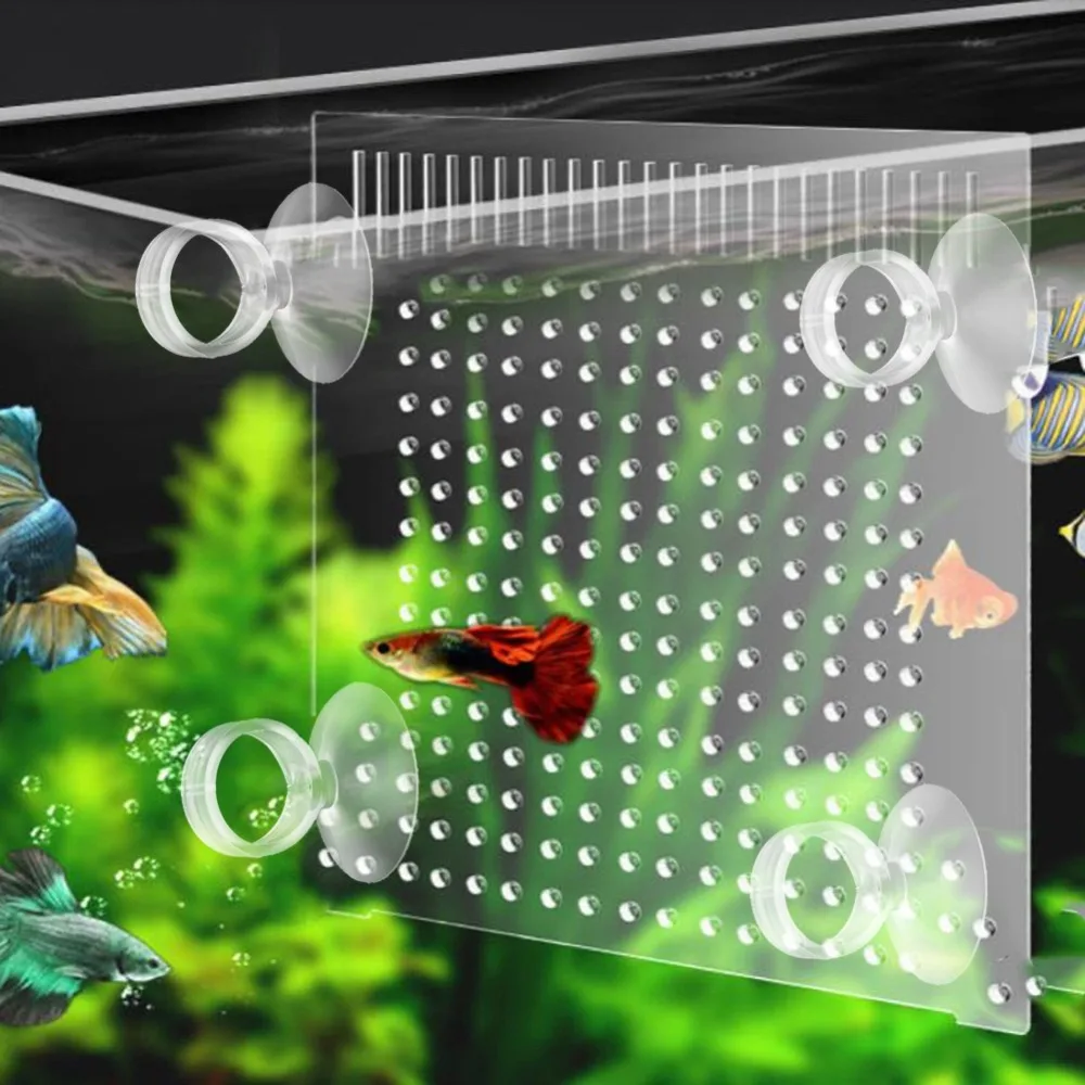 20PCS 세트 내구성이 뛰어난 투명 흰색 수족관 흡입 컵 2.2cm 튜브 홀더 워터 펌프 튜브 홀더 1.6cm 어항 흡착판