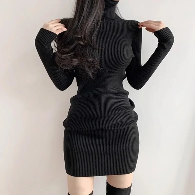 Fanan 2024 New Turtleneck Sweater Dresses Lady Sexy Slim Streetwear Bodycon Mini Dress Women Thick Basic Bottoming Dress Woman 6
