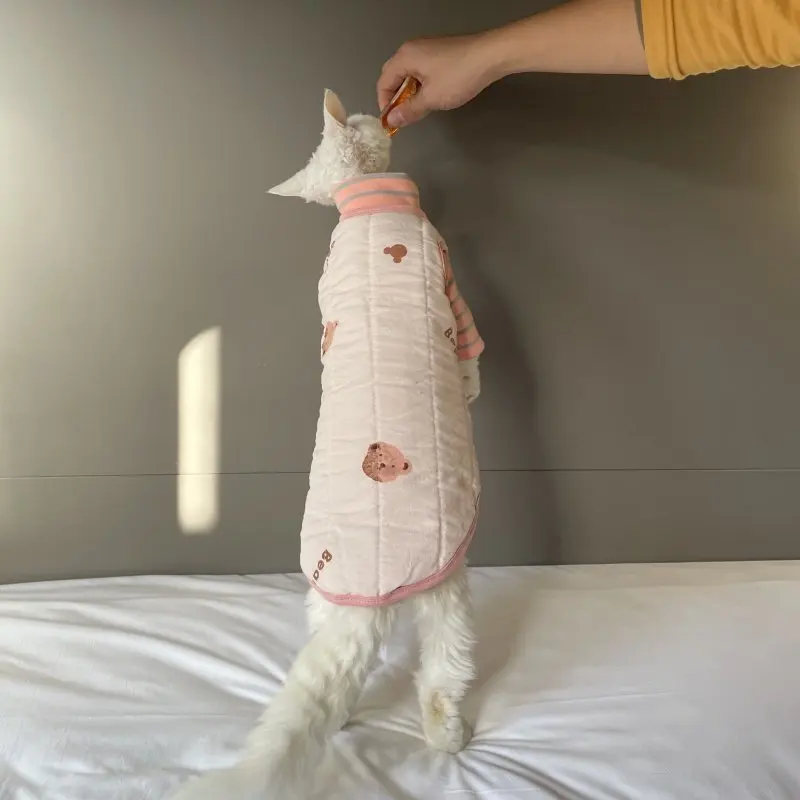 스핑크스 고양이를 위한 겨울 면 민소매 재킷가을 새끼 고양이를 위한 따뜻하고 달콤한 노란색 코트데본 렉스를 위한 핑크 블루 가디건