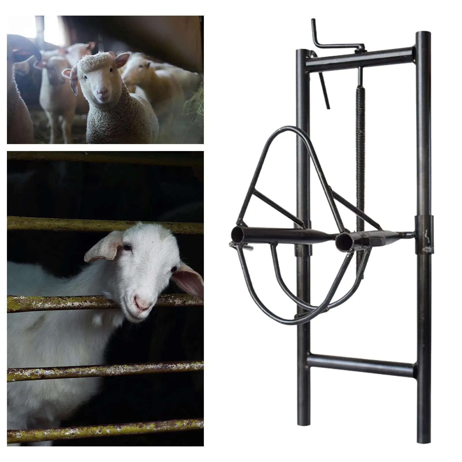 Sheep Head Fixing Bracket Livestock Supplies Stable Wear Resistant Versatile