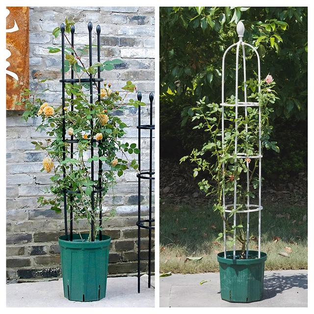 Velto 100 Clip Per Pomodori E Cetrioli – Diametro 23 Mm – Riutilizzabili E Professionali – Supporto Per Orto E Giardino - 2