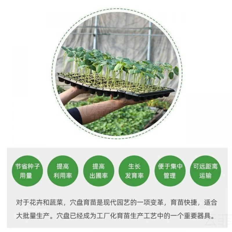 5Pcs 50 Cell Germination Seedling Trays Garden Starter Trays Strength Seed Germination Plant Flower Pot Nursery Grow Box Garden